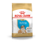 Royal Canin Bulldog Puppy – Hrană Uscată pentru Pui de Câine din Rasa Bulldog – 3 kg